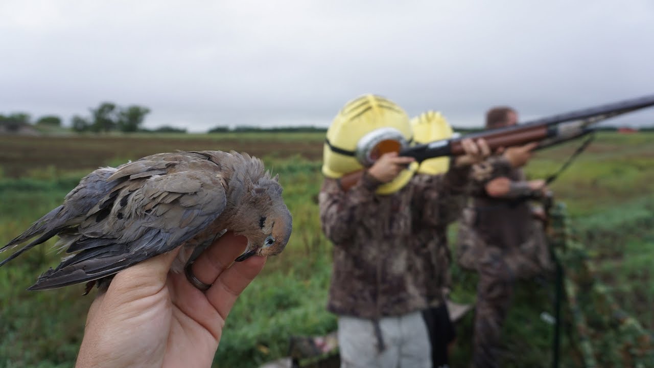 Dove Hunting 2018! Someone Beat us to the Field..