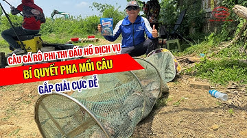 Câu cá rô phi thi đấu hồ dịch vụ - Bí quyết pha mồi câu gắp giải cực dễ