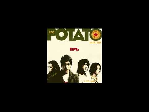 กำแพง - POTATO | Guitar Backing Track (ซ้อมกีต้าร์)