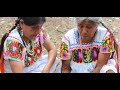 TRIO REYIXTLA EL CANARIO INDIGENA