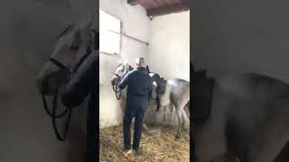 video 1635013852