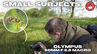 Photographing Butterfly's With the Olympus 60mm F2.8 macro on Location. OM-1 MKII