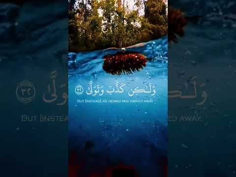 الشیخ رعد الکردی سورة القیامة تلاوة موثرة ارح موسمعك متابعة اشترك بقناتی فضلا ولیس امرا