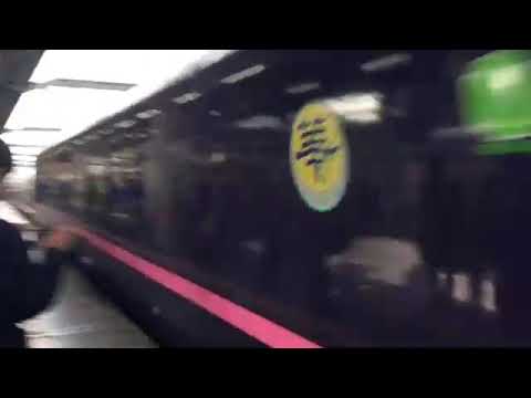 赤羽駅485系ジョイフルトレイン華通過(超低画質)