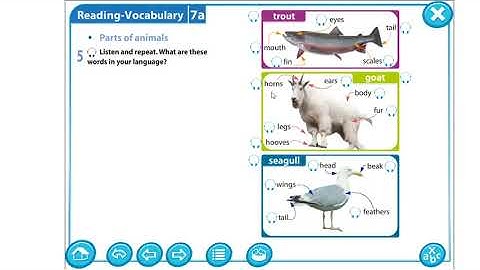 Grade 5 Module 7 Parts of animals Ex.5p.87