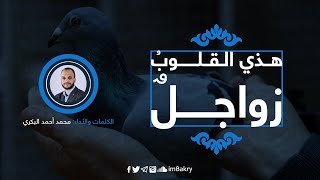 حوار مع حمامة ❁ محمد أحمد البكري | 2019