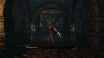 Skip Sassan obstacle in Sentinel Island. Glitch #5 | Divinity 2