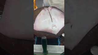Skill Pro! Cepat Banget Motong Ikan Pari, Rapi &amp; Presisi #shorts #ikanpari #fishcutting
