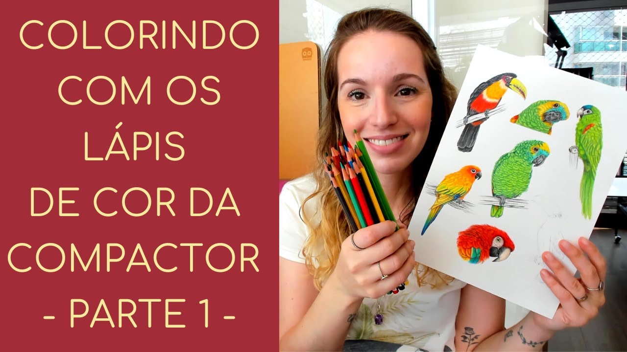 Colorindo um Tucano-toco com os lápis da Compactor - Parte 1
