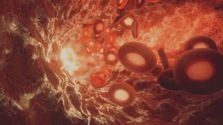 Medicare to cover Wegovy for those with heart disease