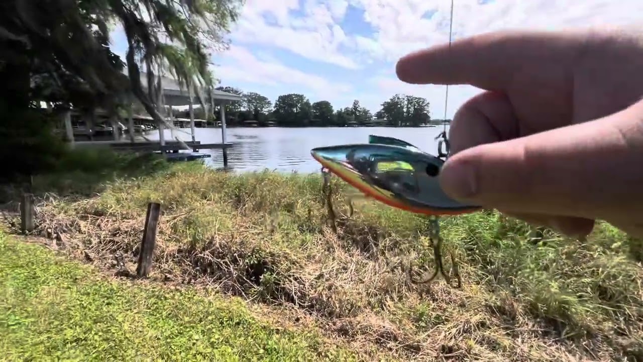 Fishing in big bass lake(not great)