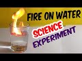 5 simple science experiments and school magic tricks  science experiments for school
