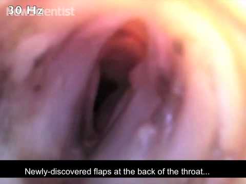 deep blue sea 3 Frisky deep voice recreated in dead male koalas