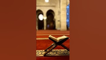 القرآن الكريم راحة نفسية #تعليق #اكسبلور #مشاركة #لايك #إشتراك #انشر_تؤجر