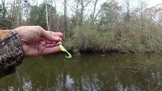 Nice Bass at Hollingers Bridge