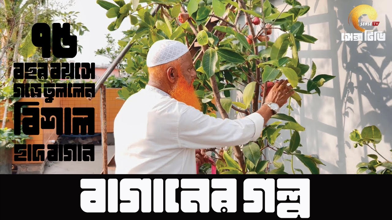 বাগানের গল্প। ছাদ বাগান । ছাদ কৃষি। সফল ছাদ বাগানী জনাব মোঃ আফতাব ...