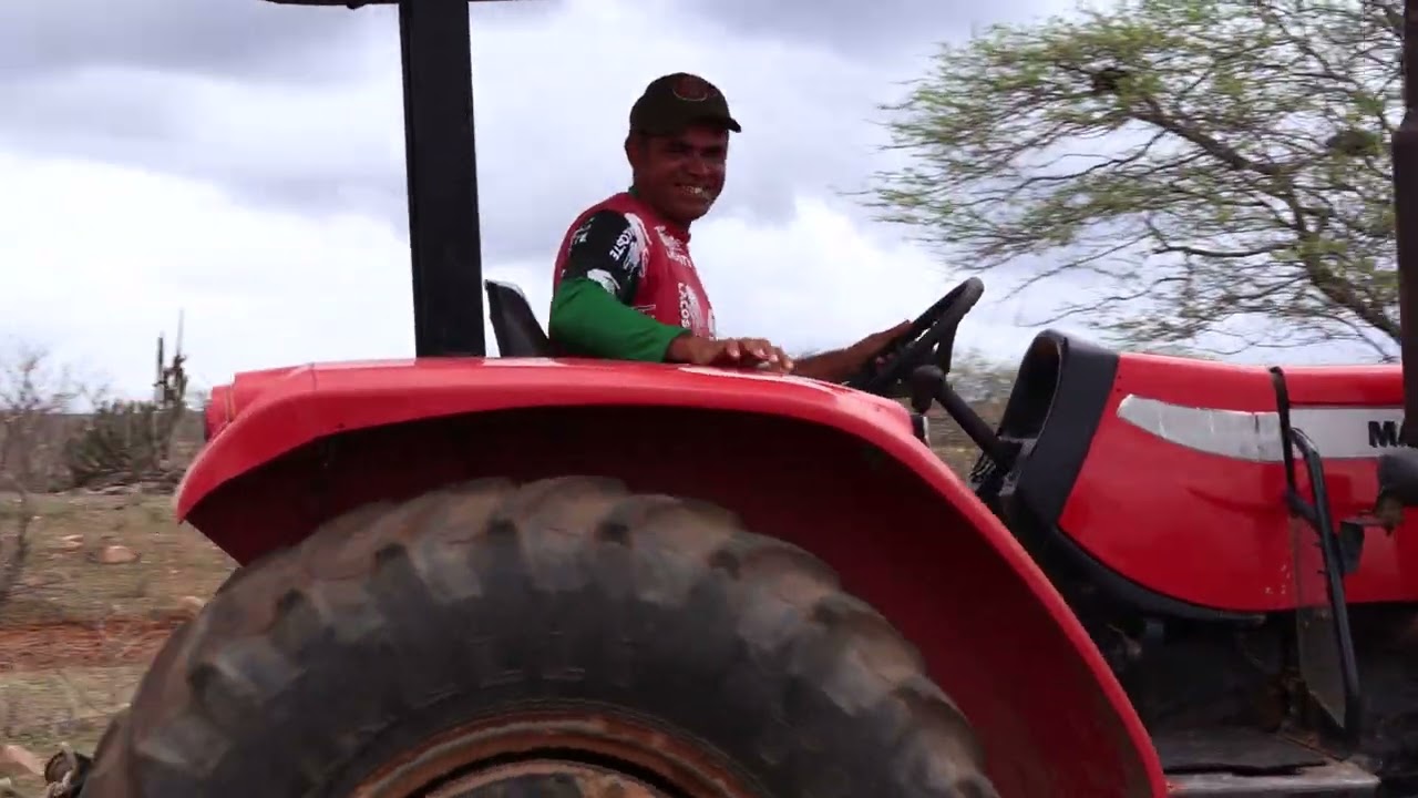 Tratorista Chimbinha e o tratorista tuta gradeando uma terra no pé de serra do olho dágua 