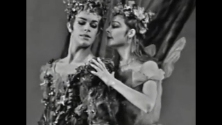 A Pas De Deux from of ‘The Dream’