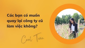 Có nên quay lại công ty cũ làm việc không?
