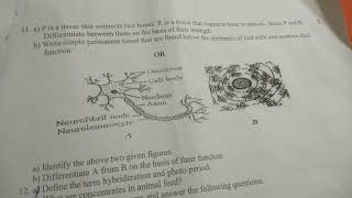 Class 9 Science Pre-annual Question Paper (2025-26) l CBSE l DAV Public school l