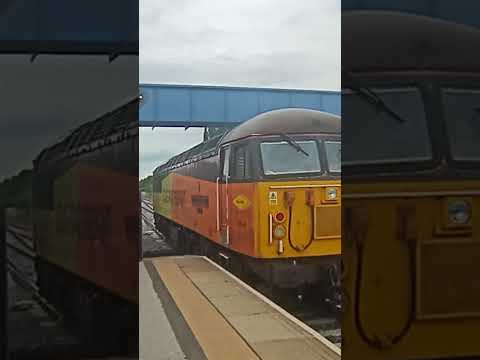 Class 56 (56049 WE MEAT AGAIN)