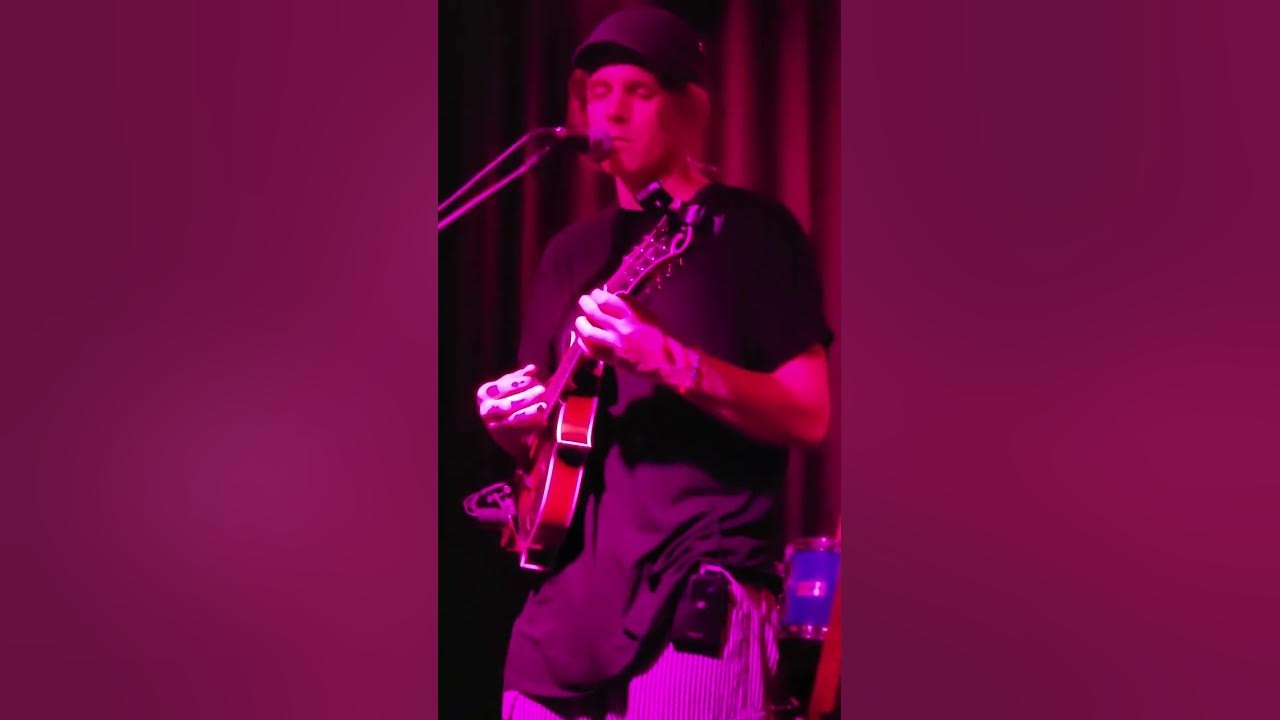 Under The Rug Turkey Vulture YouTube