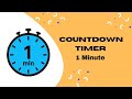 1 Minute Timer | 60 Second Countdown | No Music