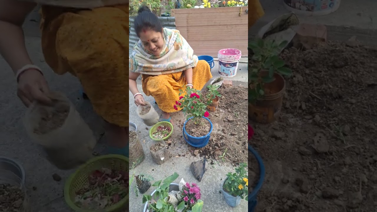 এই কাজটা করতে আমার সব থেকে বেশি ভালো লাগে 🙂🙂