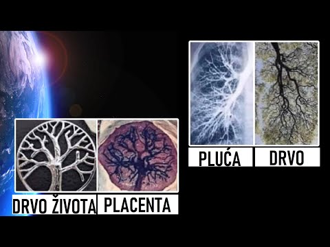 Video: Koja je glavna razlika između Fahrenheitovih Celzijevih i Kelvinovih temperaturnih ljestvica?