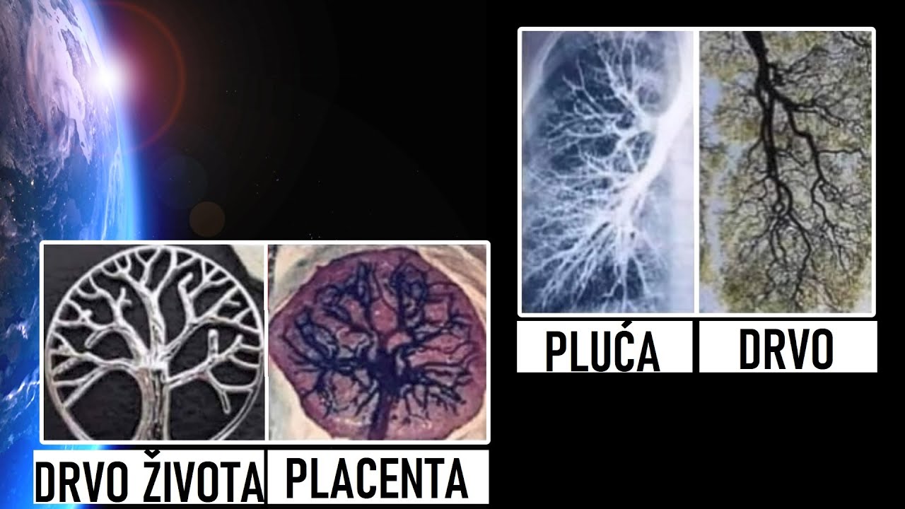 ⁣Čudni Obrazci Otkriveni u Prirodi, Planetama i Svemiru