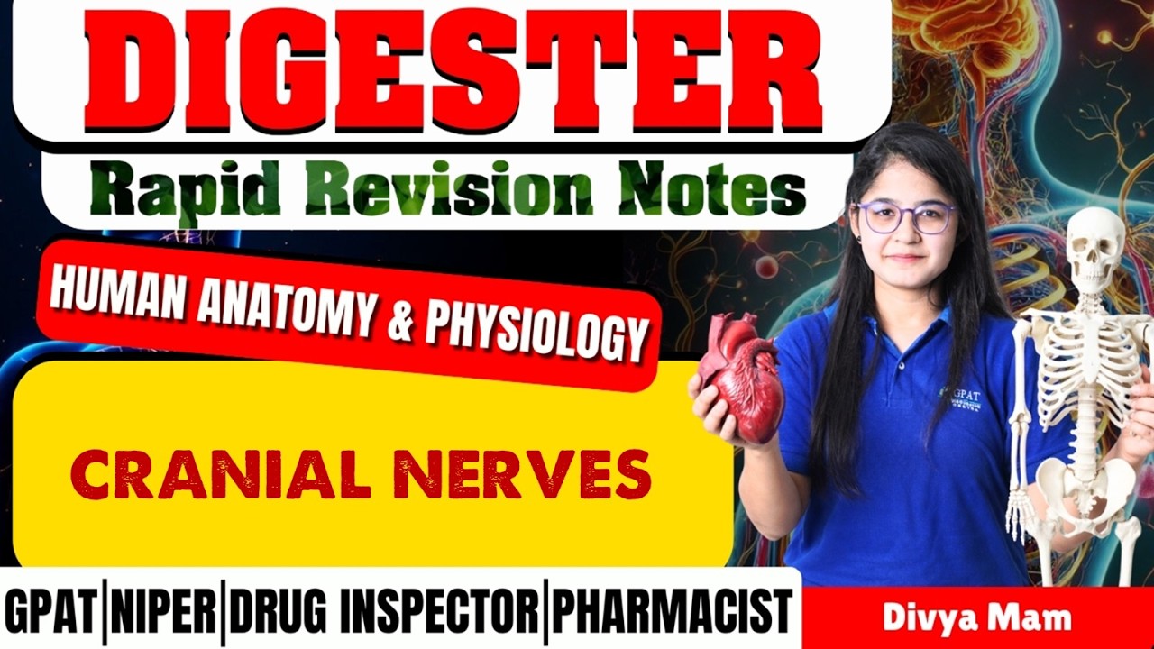 D-133 | Cranial Nerves- Human Anatomy & Physiology | Rapid