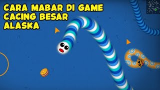 Cara Mabar di Game Cacing Besar Alaska screenshot 5