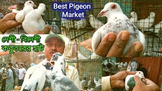 Kolkata Pigeon Market At Galiff Street Visit || Fancy Pigeons Flying Pigeons Pigeon Sellers Tala Hat