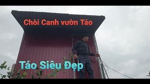 Thăm Vườn Táo Siêu Đẹp Ngoài Đồng Của Cô Mình I Núi Đồi Lục Ngạn