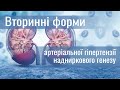 Вторинні форми артеріальної гіпертензії надниркового генезу