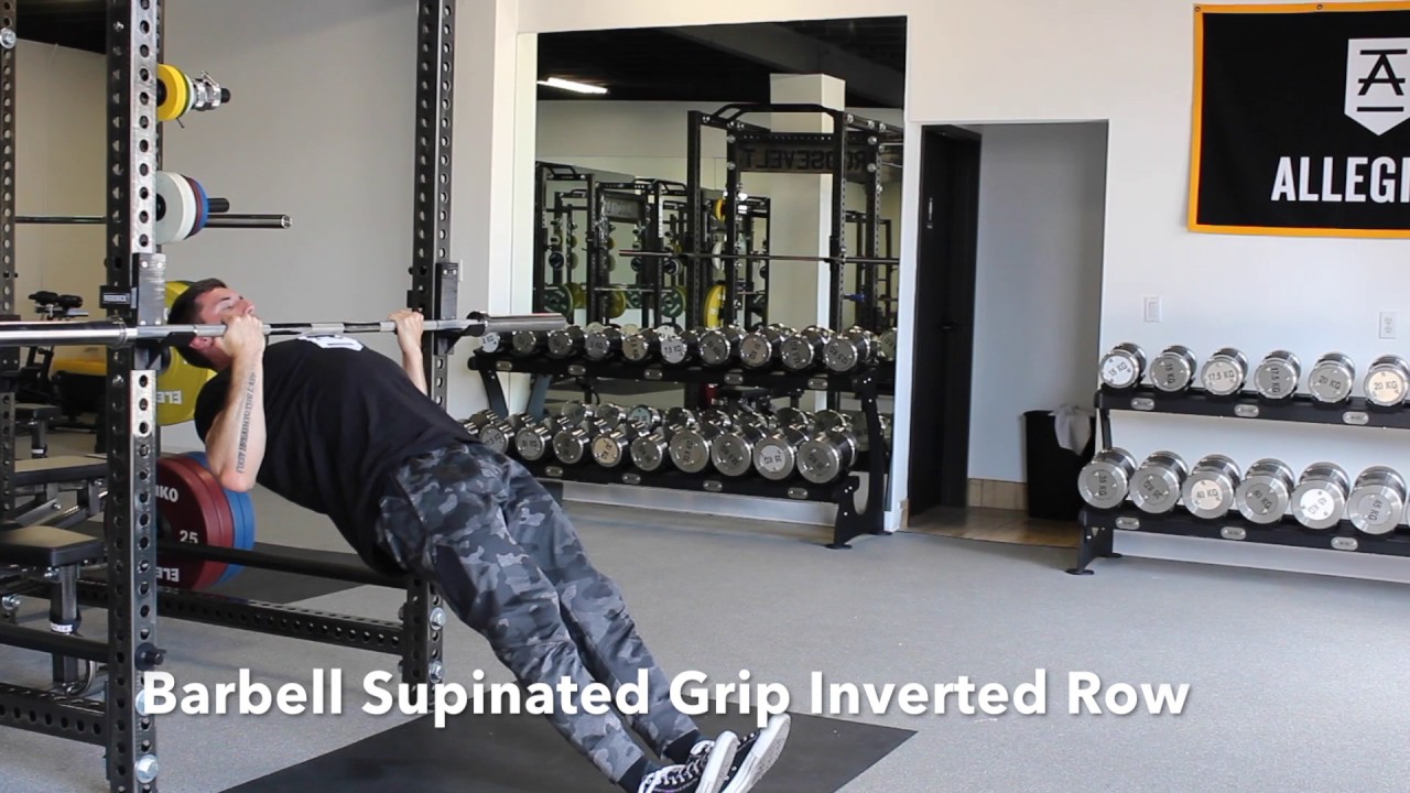 Supinated Grip BB Inverted Row YouTube