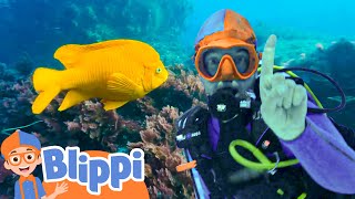 Can you SCUBA DIVE like Blippi? | Underwater Swimming | Learning Educational Videos For Kids