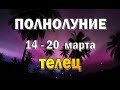 ТЕЛЕЦ 📕МОСТ📕 неделя с 14 по 20 марта. Таро прогноз гороскоп гадание