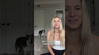 How did I know it would go this way..? #dogsoftiktok #dogsoftiktokviral #husky #huskies #dogs