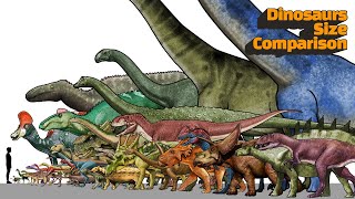 Dinosaur Size Comparison - series3 | Animated Size Comparison | Know the size of a dinosaur