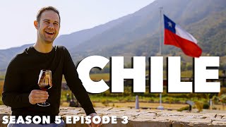 Wine Tour In Chile? Adventure In The World's Longest Country! screenshot 3