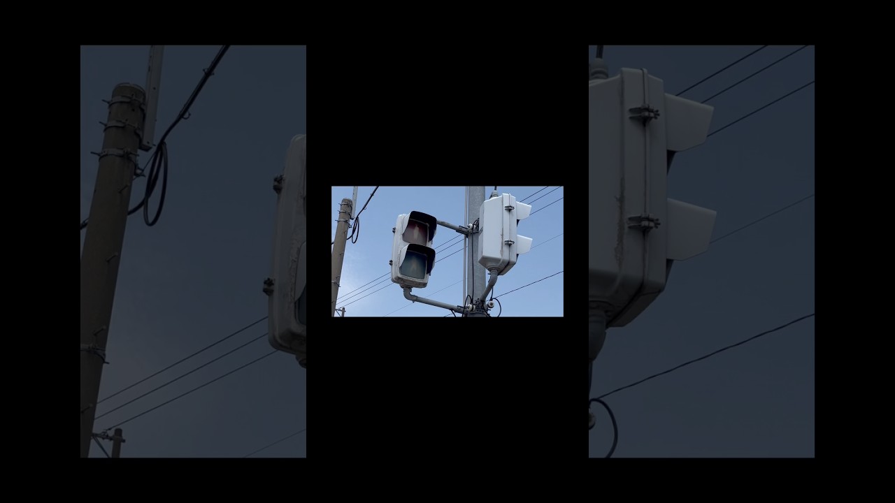 限界を迎えた信号機#信号機 #レア信号機 #面白い #新潟信号 #がたしん