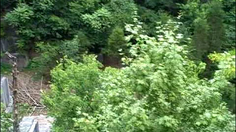 New mountain bike trails to be built at Ijams Nature Center