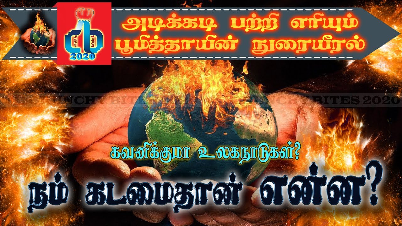 Amazon forest fire | MG | பற்றி எரியும் அமேசான் காடுகள் உலக நாடுகள் கவனிக்குமா? | crunchy bites 2020
