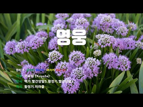 [은성 반주기] 영웅 - 코요태(Koyote)