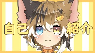 「【自己紹介】はじめまして！みけ太郎です！【新人Vtuber】」のサムネイル