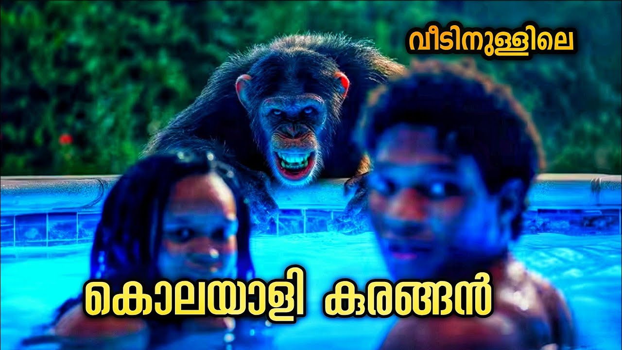 ഇങ്ങനെ ഒരു കൊലയാളിയെ അവർ ഒരിക്കലും പ്രതീക്ഷിച്ചില്ല പിന്നീട് സംഭവിച്ചത് ഇതാണ്