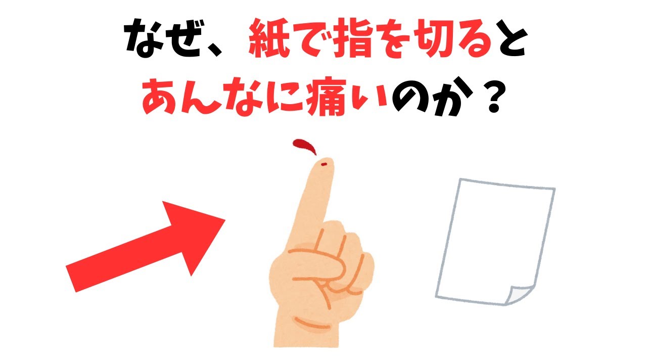 【雑学】なぜ、紙で指を切るとあんなに痛いのか? - YouTube