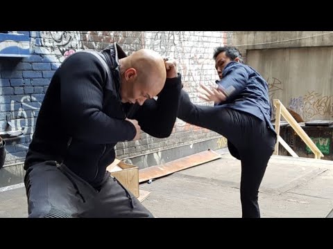Donnie Yen Vs Vin Diesel Fight Scene  xXx Return Of Xender Cage