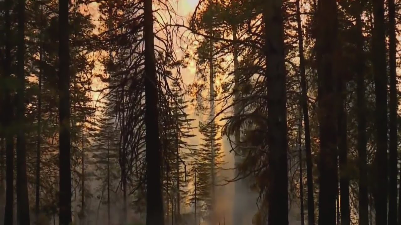North Texas fire crews head to West Coast to assist with wildfires ...